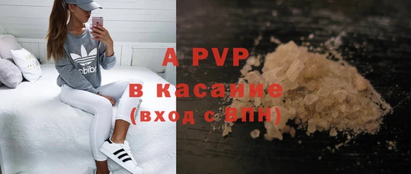 стаф Алзамай