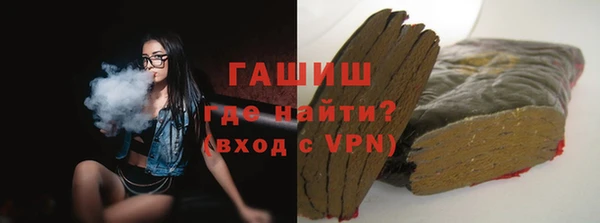 стаф Алзамай