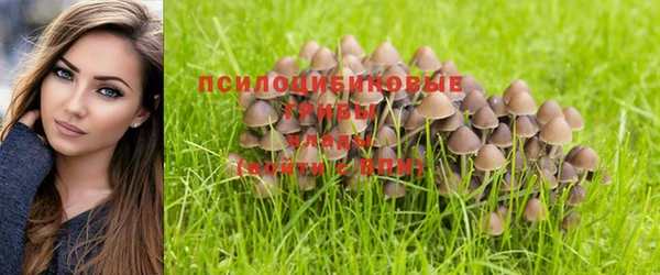 меф Апатиты
