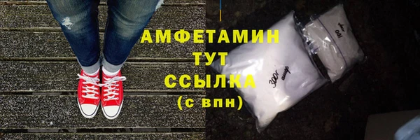 стаф Алзамай
