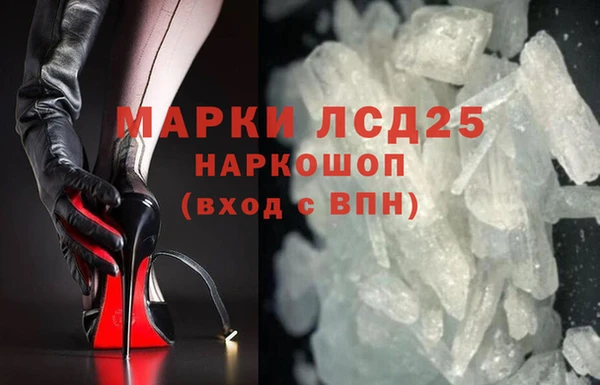 стаф Алзамай