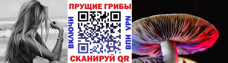 где продают   Кореновск  Галлюциногенные грибы мухоморы 
